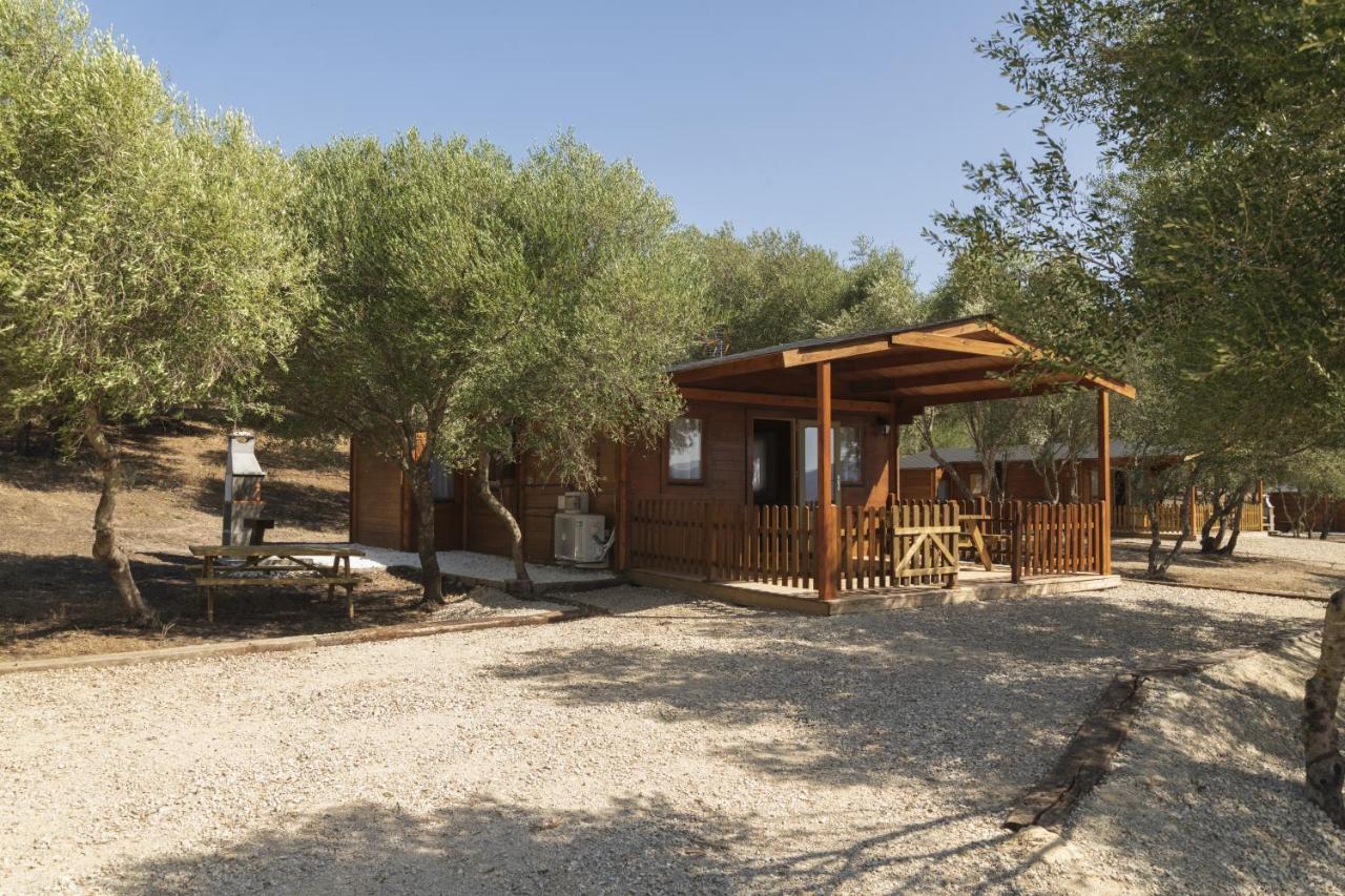 Finca Florida Benalup-Casas Viejas Zewnętrze zdjęcie